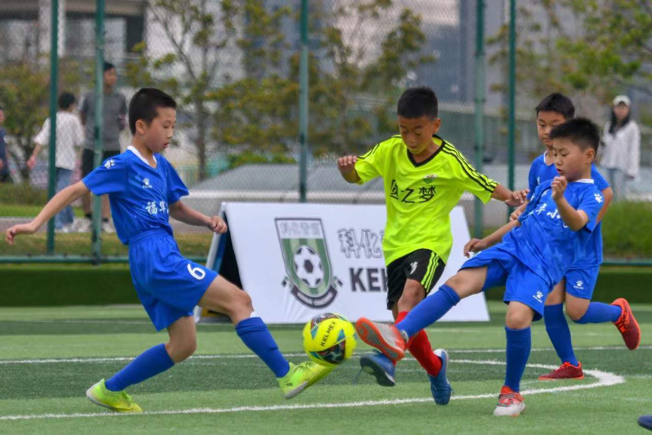 即插即用的 即插即用的