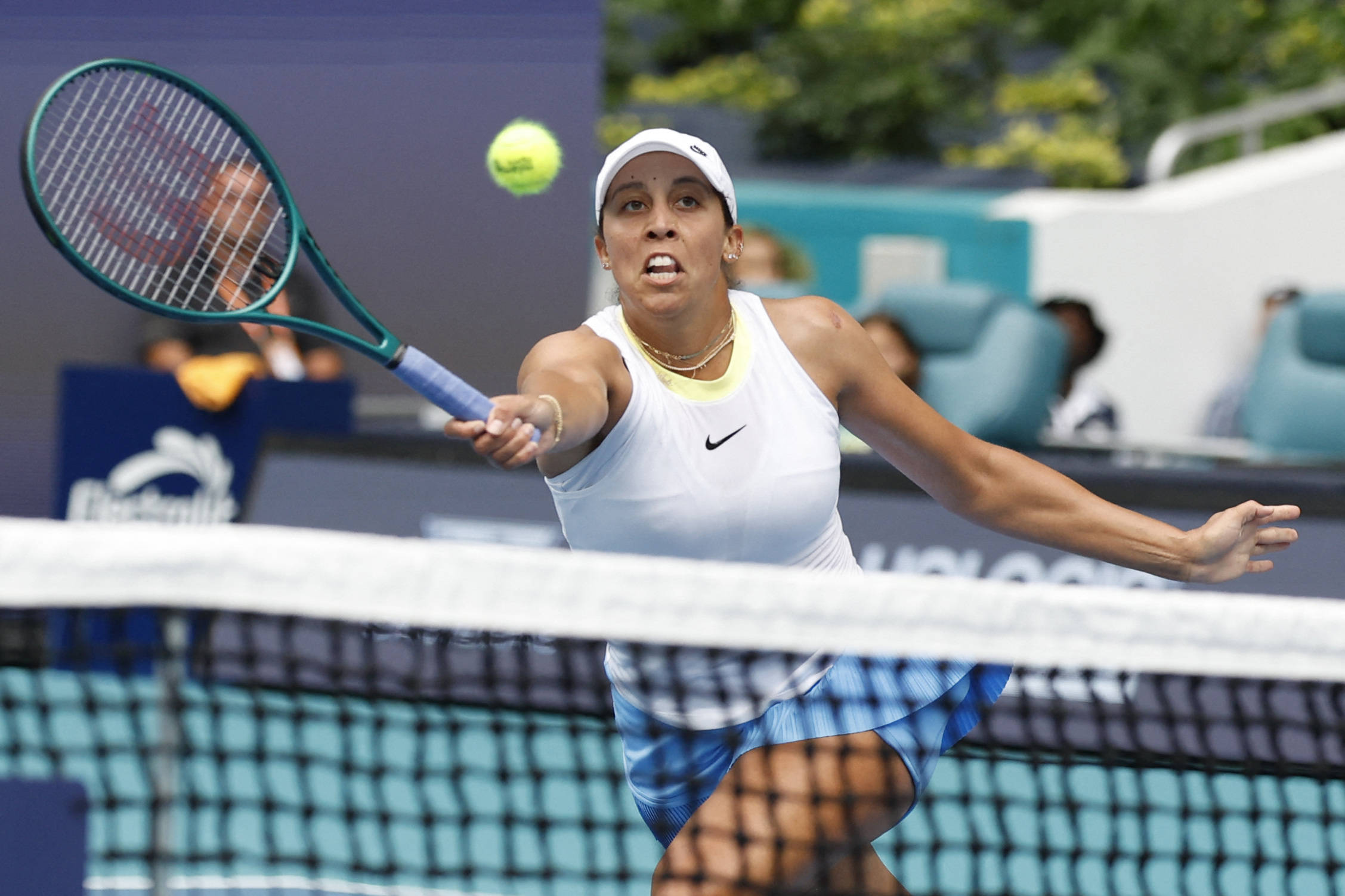 柏林联合的 柏林联合的