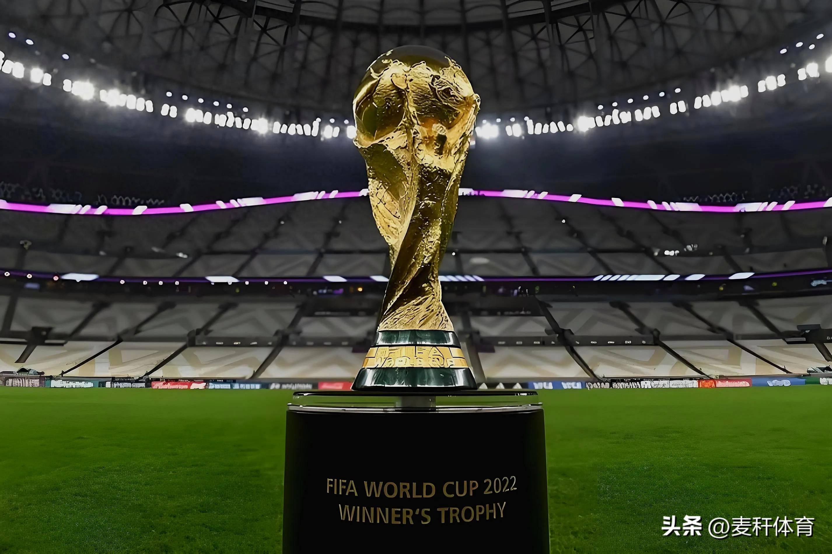 一天竞争极 一天竞争极